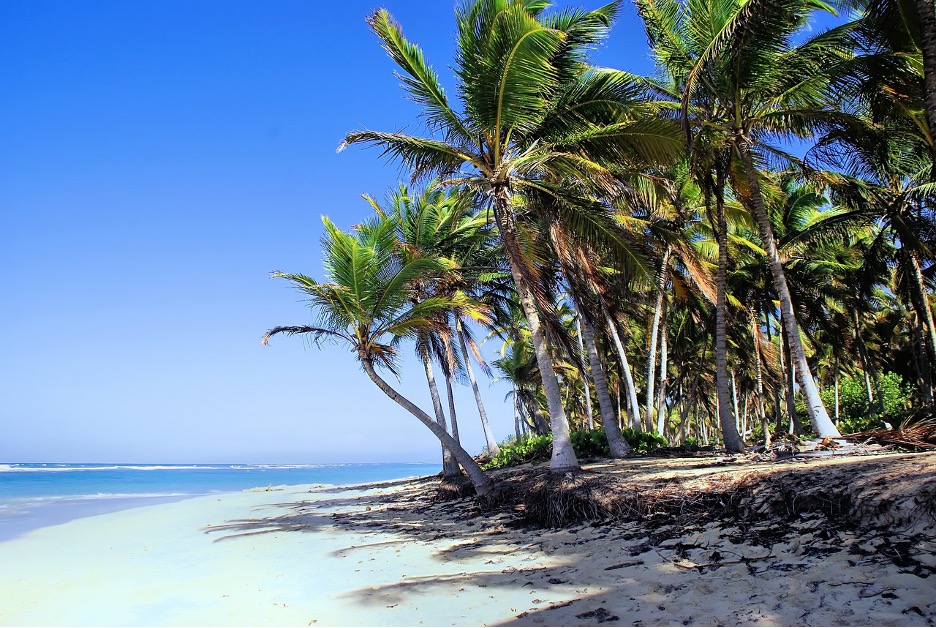 La Trinité en Martinique : entre plages, patrimoine et saveurs créoles